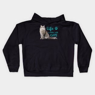 Life is Better with Cats Funny Cat Lovers Gift Kids Hoodie